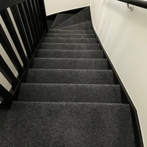 Carpet (20)