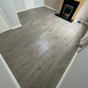 Laminate (10)